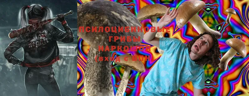 Псилоцибиновые грибы Magic Shrooms  Буйнакск 